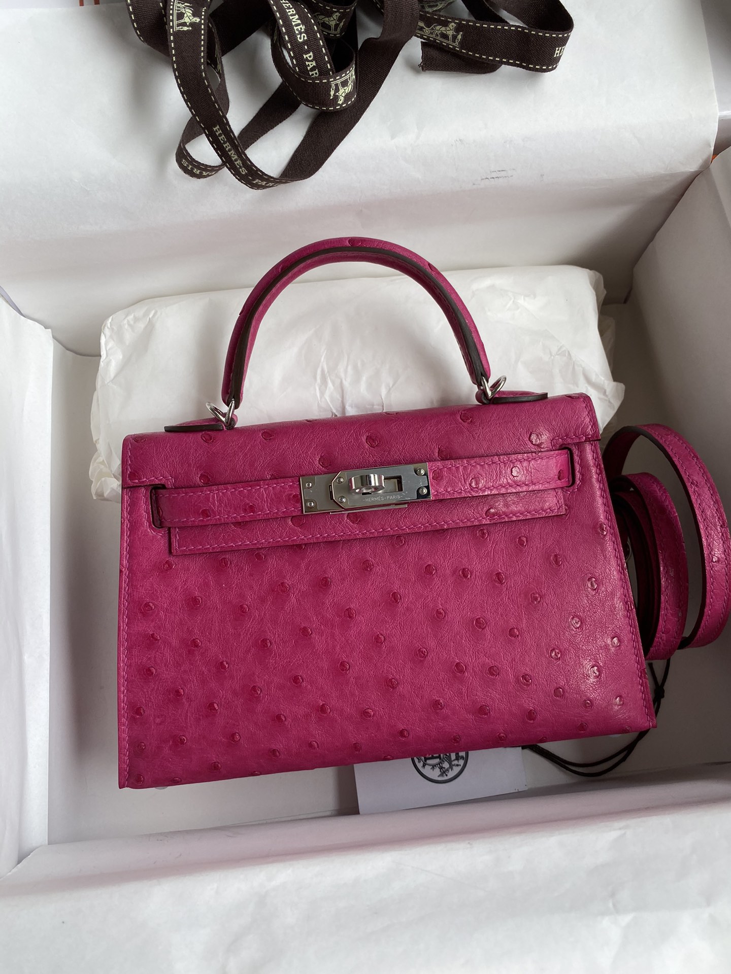 Hermes Kelly Mini II Bag 19CM In Bordeaux Ostrich Leather